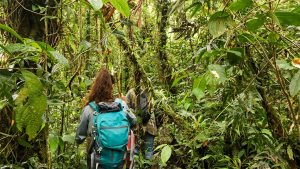 People walking in the jungle of the Cerro Mariposa Hike