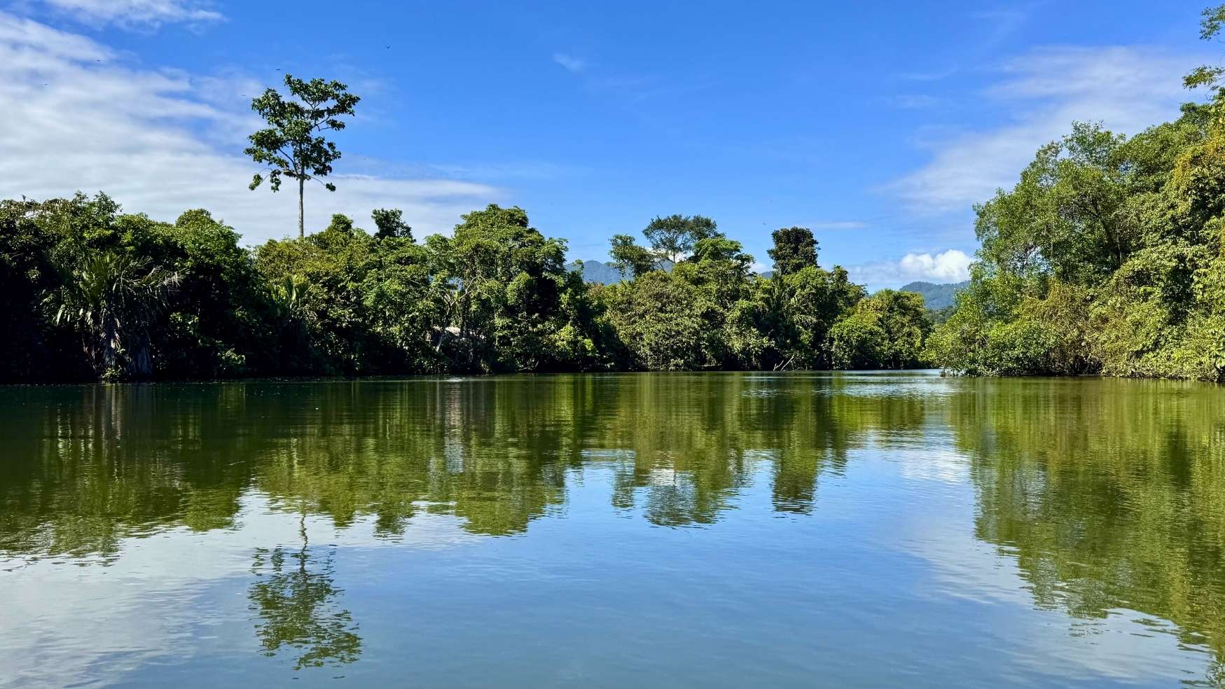 Serene river surrounded by lush greenery