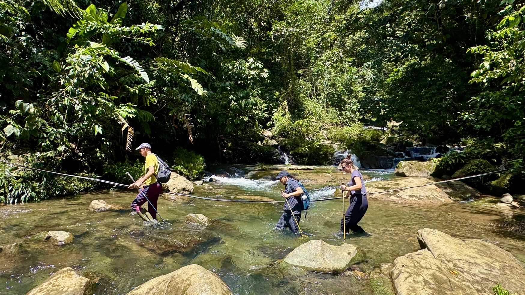 People crossing a stream in nature showing different difficulty levels