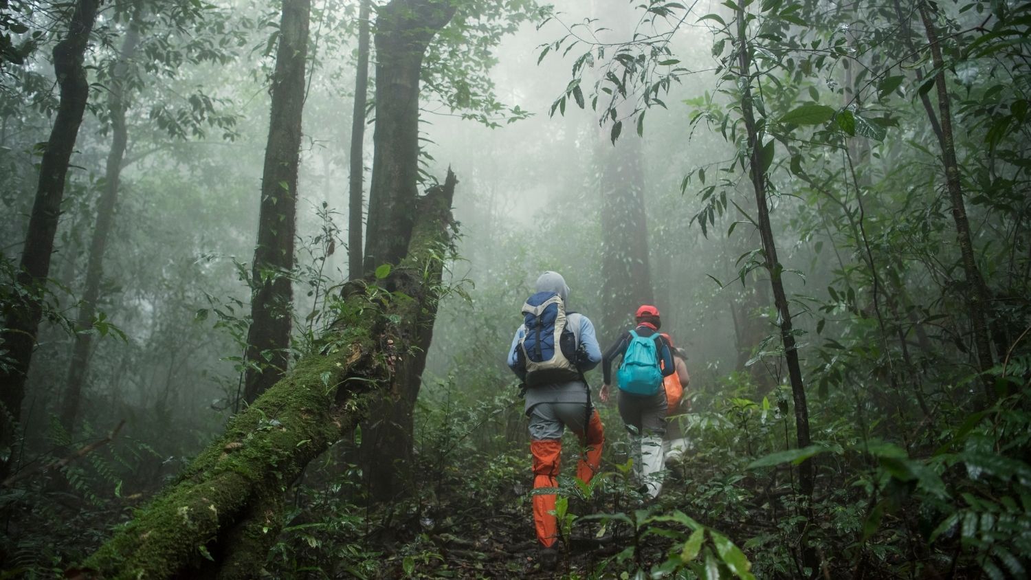 Two hikers in misty jungle showing how the weather in Panama can be