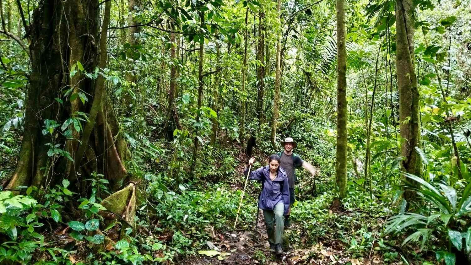 Two hikers in a lush jungle