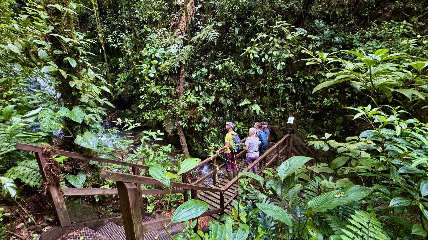 people hiking in the lush rainforest of Santa Fe National Park
