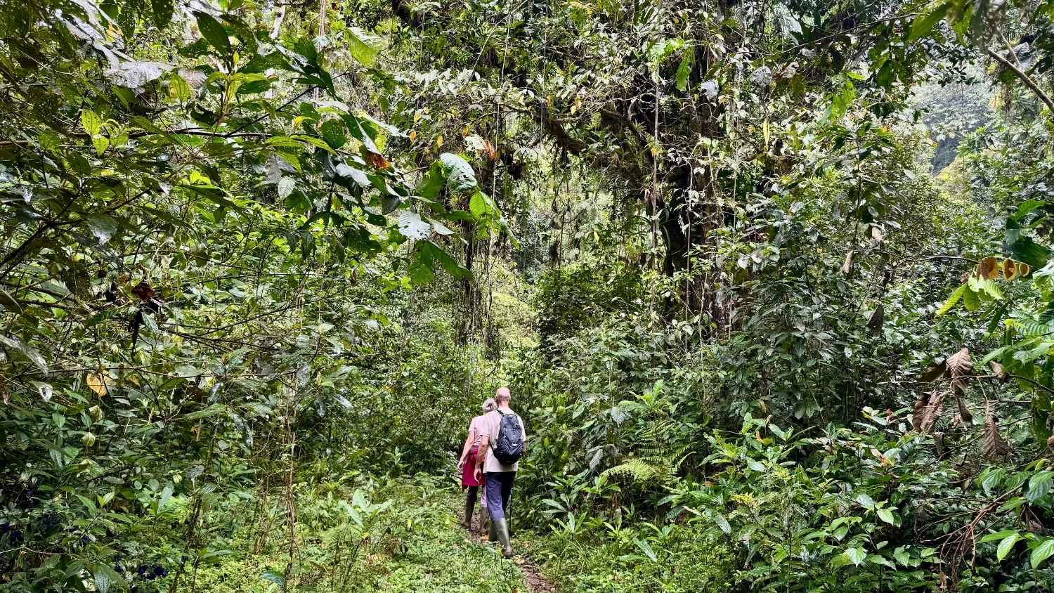 Two hikers in a lush jungle, walking one of top 5 hikes in Santa Fe Veraguas